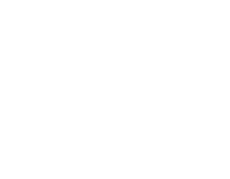 light logo